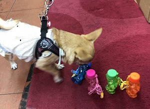 こっそり近づいて… こっそり近づいて…
