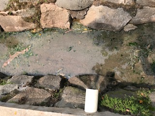 引き続きネシアで… 引き続きネシアで…