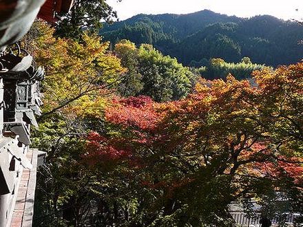 談山神社の紅葉。