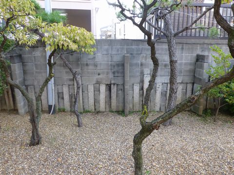 堤根神社（門真）
