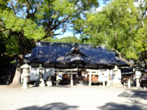 泉穴師神社(式内社・泉州二ノ宮）