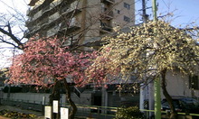 季節は確実に・・・