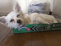 Facebookファンページつくりました。