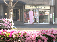 ゆみちゃん七歳の七五三記念