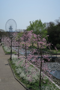 万博記念公園開園情報　 （4/8現在） 2020/04/08 16:00:00