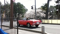 オープンカー日和