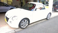 ジャガイモが転がってる