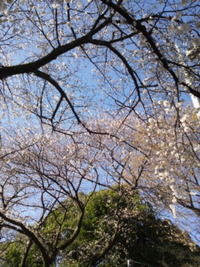2013年03月21日
