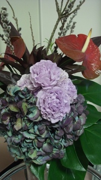 紫陽花！
