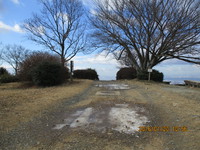 冬本番