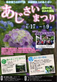 「あじさいまつり」のお知らせ