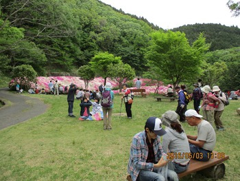 ５月３日ツツジの開花状況