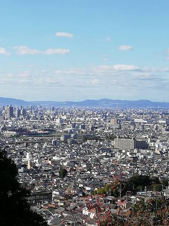 今日の大阪平野景色（一部分）
