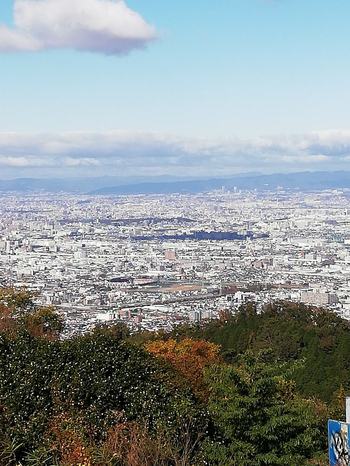 大阪平野と紅葉