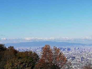 大阪平野と紅葉