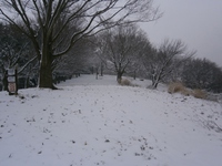 雪の中部園地
