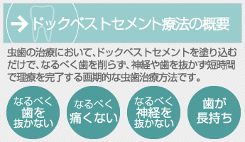 ドックベストセメント研究会 ドックベストセメント療法の概要