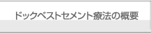 ドックベストセメント研究会 ドックベストセメント療法の概要