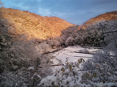 摂津峡公園