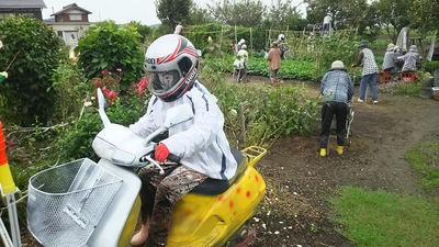 リアルかかし