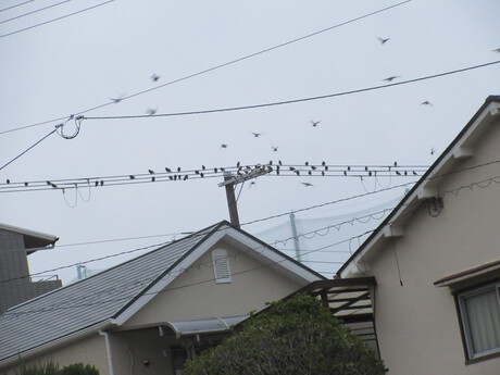 初めての光景です！！