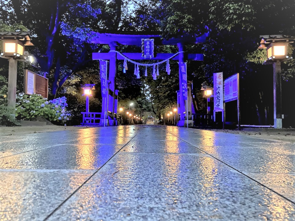 神社を横切る近鉄電車が…面白スポットがある藤井寺市の神社仏閣巡り♪