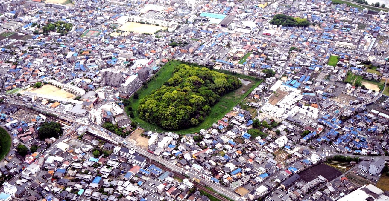 藤井寺エリアとは？