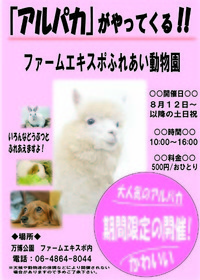 アルパカ！