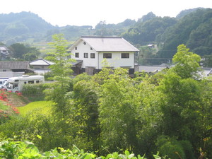 明日香の彼岸花