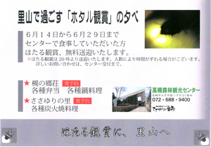 ホタルを鑑賞
