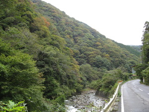 紅葉まで、あと少し。