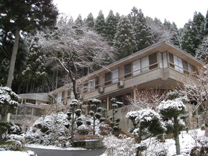 雪が積もりましたが・・・