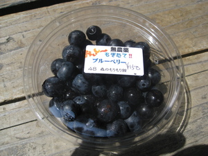 朝市には・・・・