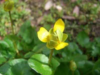 ありがとう・・・・・そしてこれからも