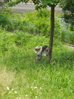 箕面の山パトロール隊の夏休み　親子で虫を撮ろう！に参加