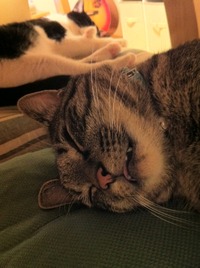 よ～く見ると・・・