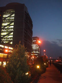 黄昏時の中之島遊歩道♪
