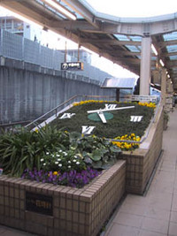 桃山台駅ホームの花時計