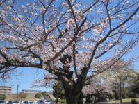 西宮市中央運動公園