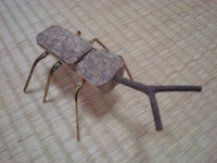 木で作ったカブト虫
