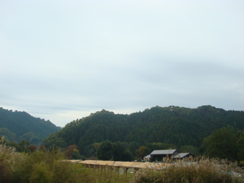 明日香村