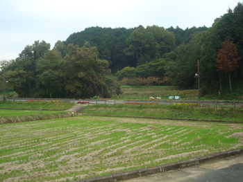 明日香村