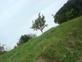 明日香村