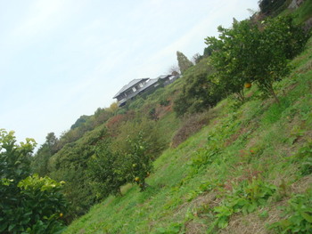 明日香村
