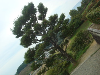 明日香村