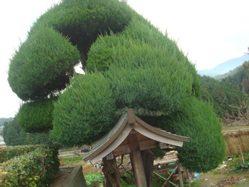 明日香村