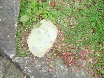 明日香村