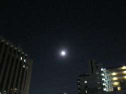 ストロベリームーン