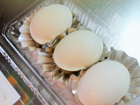 カモの卵