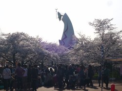 桜と大陶器市